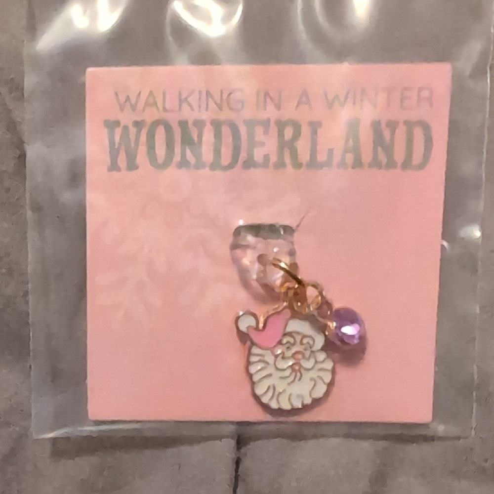 *NEW listing* Wonderland 'Walking in a Winter' Santa Charm/USB-C Plug Cover